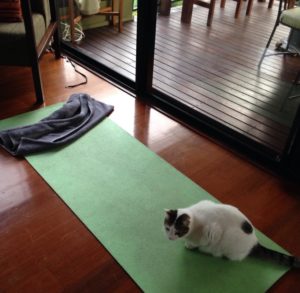 yoga en casa